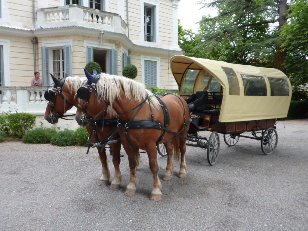 Villa Castellane Gréoux-les-Bains Zewnętrze zdjęcie